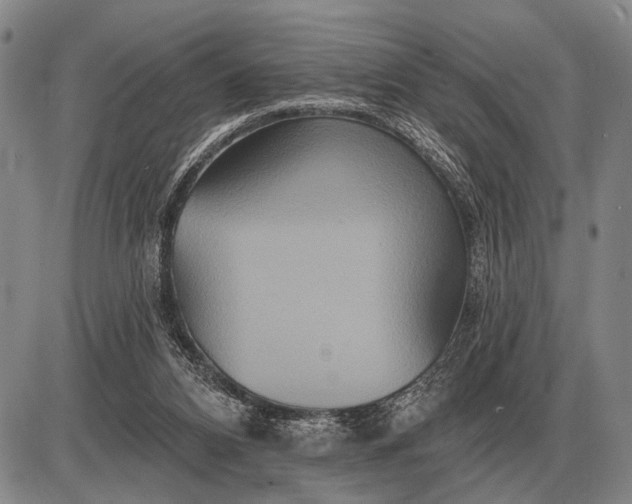 X0000085060112200703191335