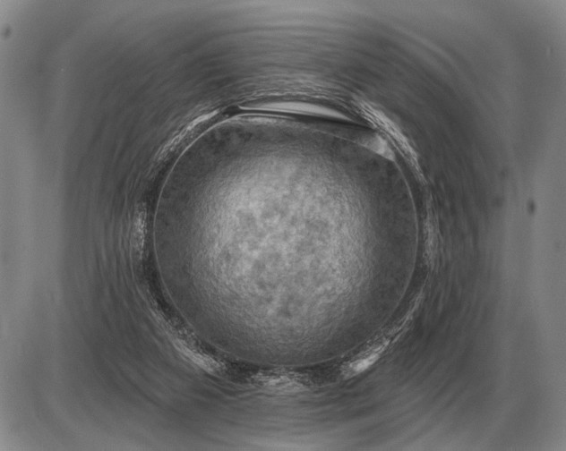 X0000085060113200703191335