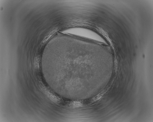 X0000085060114200703191335