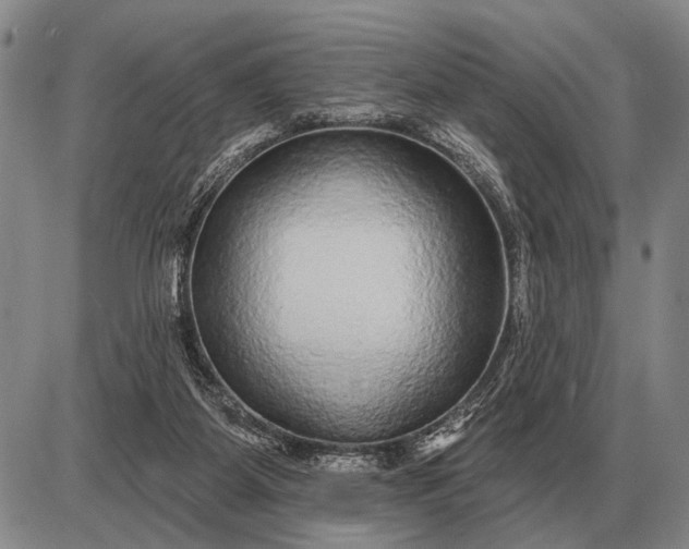 X0000085060115200703191335