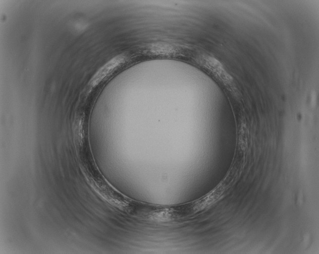 X0000085060116200703191335