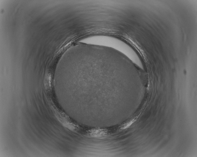 X0000085060117200703191335