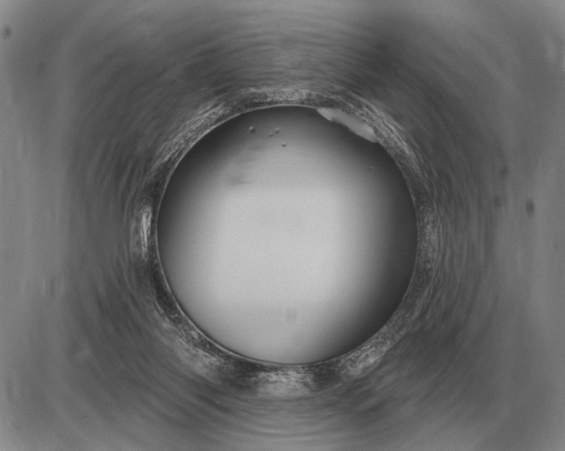 X0000085060118200703191335