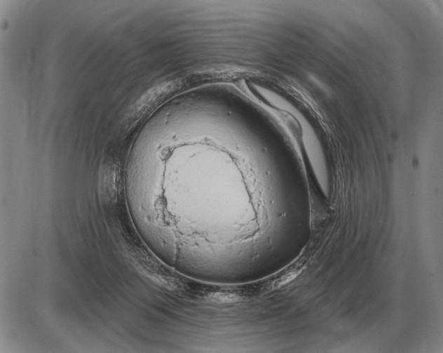 X0000085060119200703191335