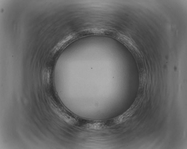 X0000085060120200703191335