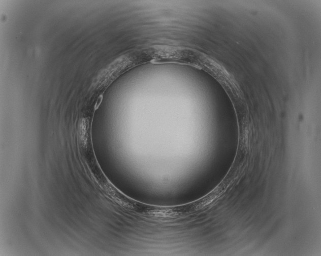 X0000085060121200703191335