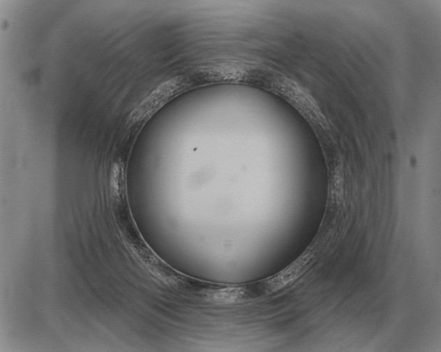 X0000085060122200703191335