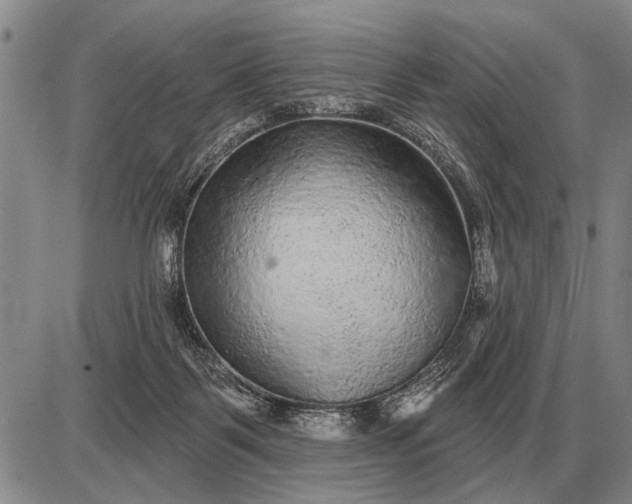 X0000085060123200703191335