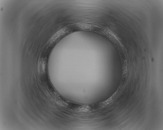 X0000085060124200703191335