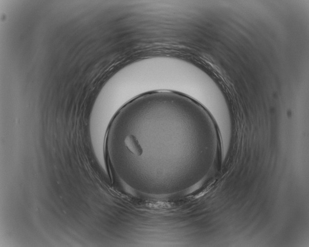 X0000085060125200703191335