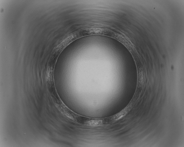 X0000085060126200703191335