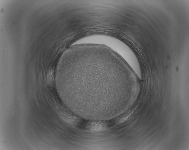 X0000085060127200703191335