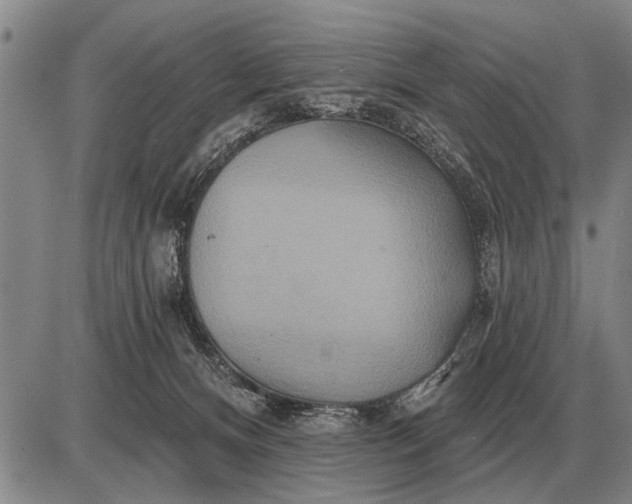 X0000085060128200703191335