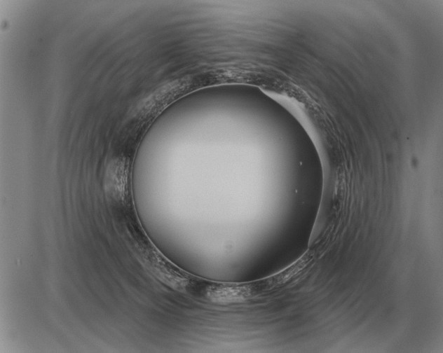 X0000085060129200703191335