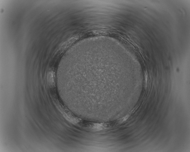 X0000085060130200703191335