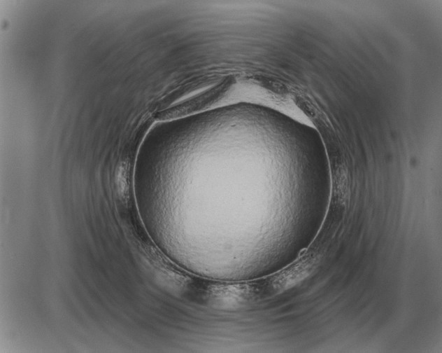 X0000085060131200703191335