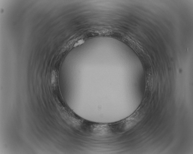 X0000085060132200703191335