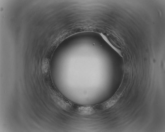 X0000085060133200703191335