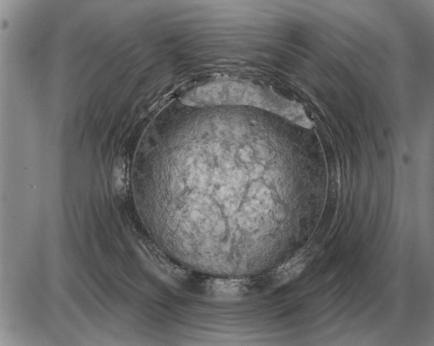 X0000085060134200703191335