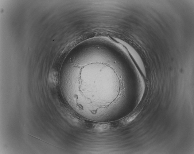 X0000085060135200703191335