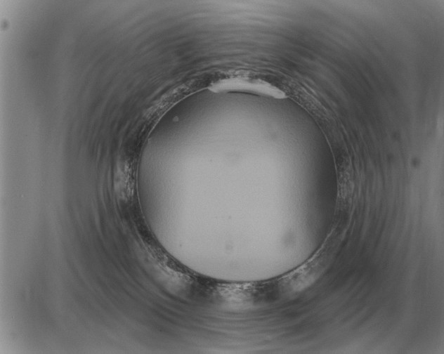 X0000085060136200703191335