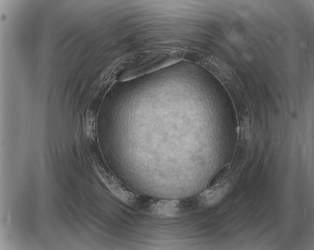 X0000085060138200703191335