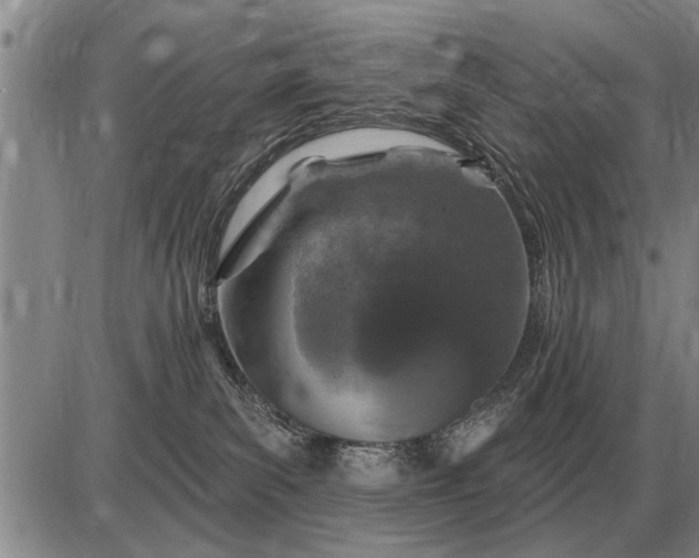 X0000085060139200703191335