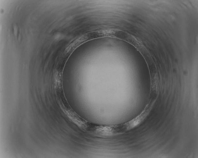 X0000085060140200703191335