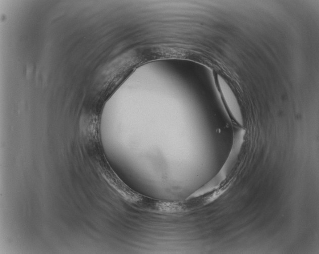 X0000085060141200703191335