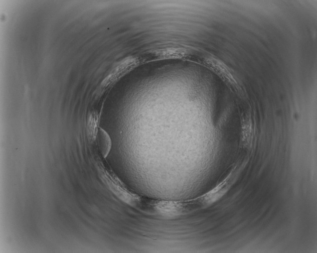 X0000085060142200703191335