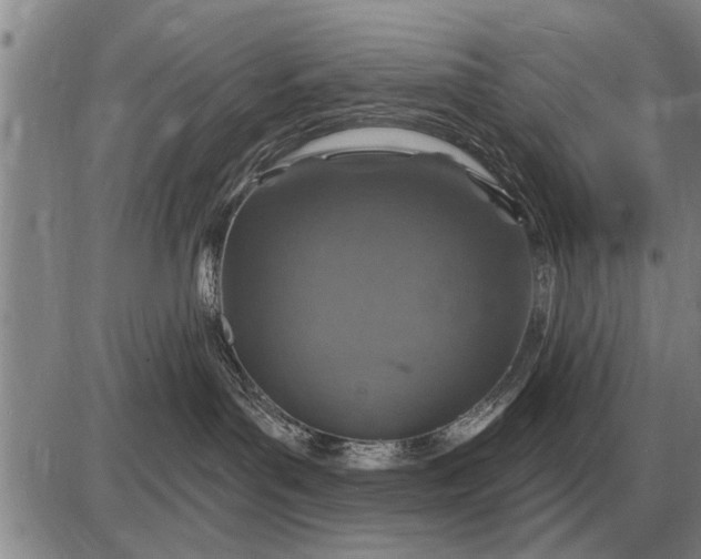 X0000085060143200703191335