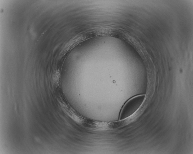 X0000085060144200703191335