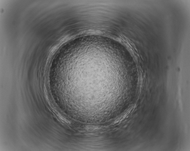 X0000085060145200703191334