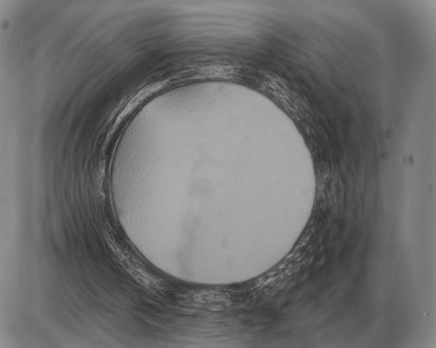 X0000085060146200703191334