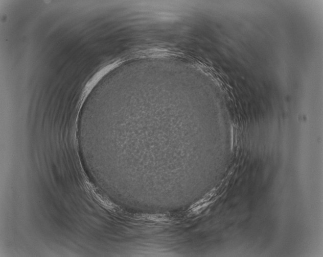 X0000085060147200703191334