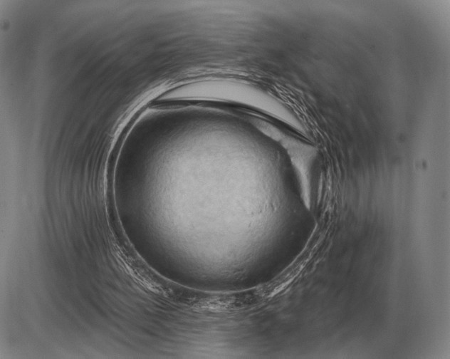 X0000085060148200703191334