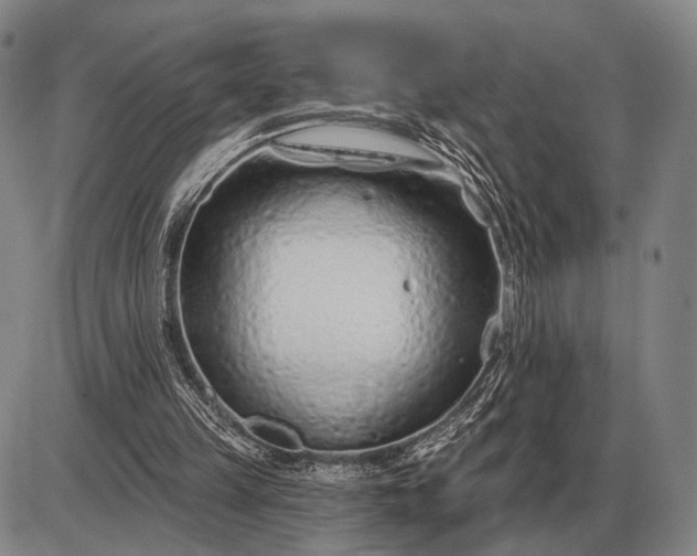 X0000085060149200703191334