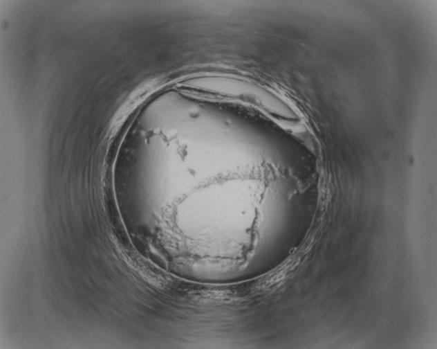 X0000085060151200703191334