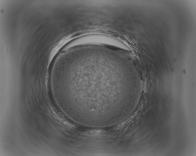 X0000085060152200703191334