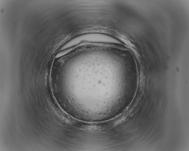 X0000085060153200703191334