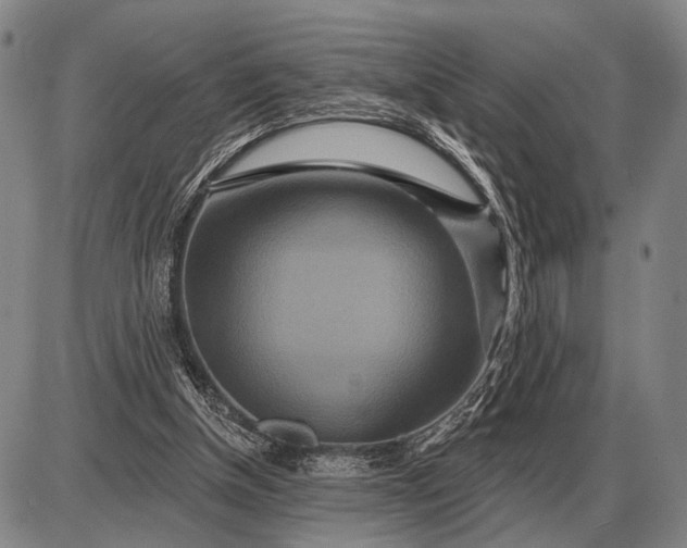 X0000085060154200703191334