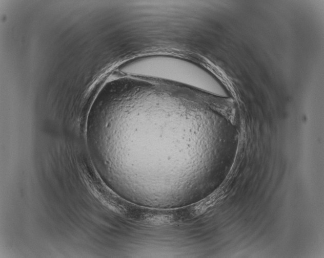 X0000085060155200703191334