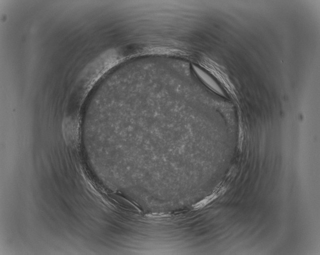 X0000085060156200703191334