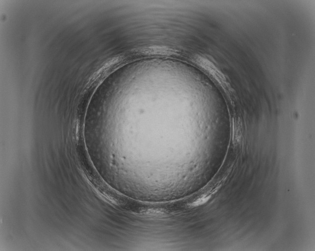 X0000085060157200703191334