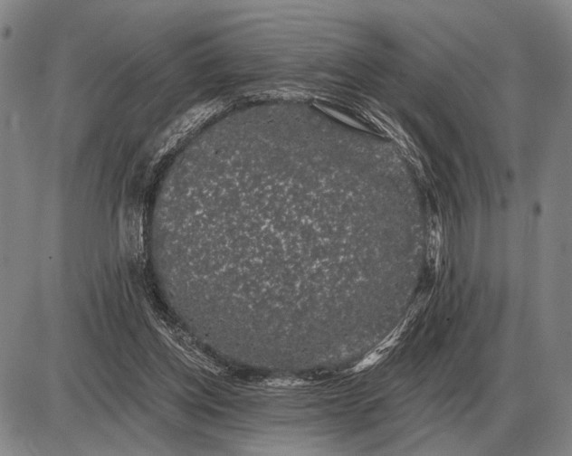 X0000085060158200703191334