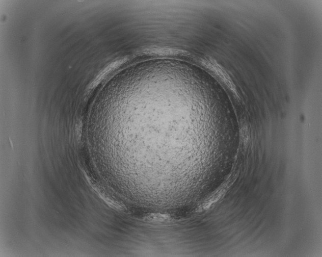 X0000085060159200703191334