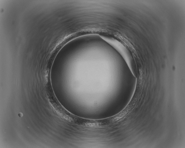 X0000085060160200703191334