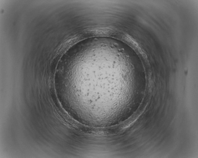 X0000085060161200703191334