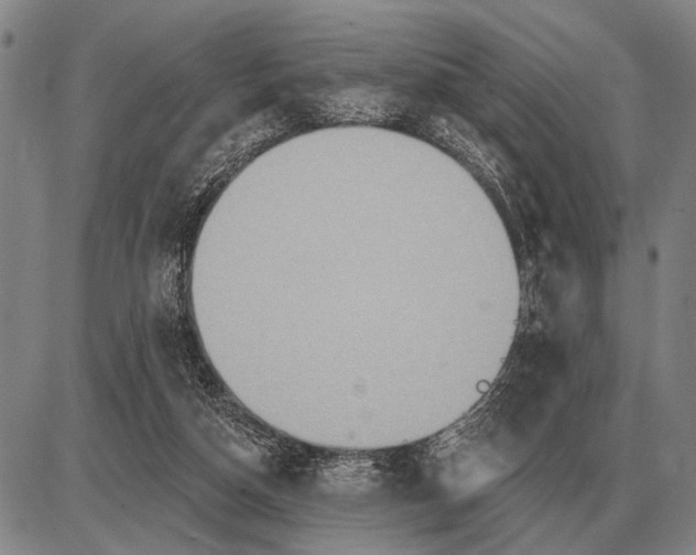 X0000085060162200703191334