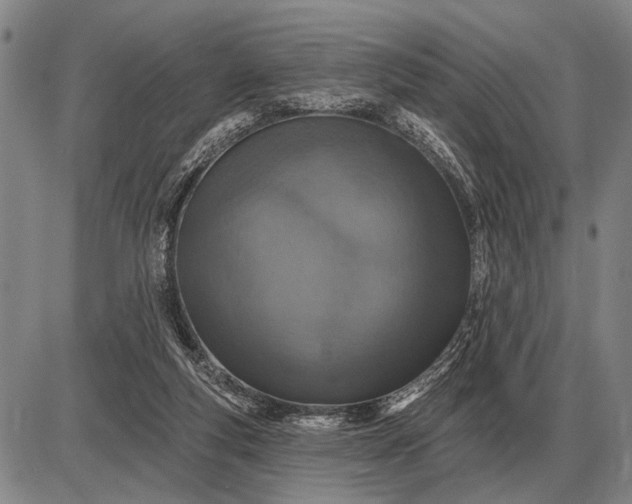 X0000085060163200703191334